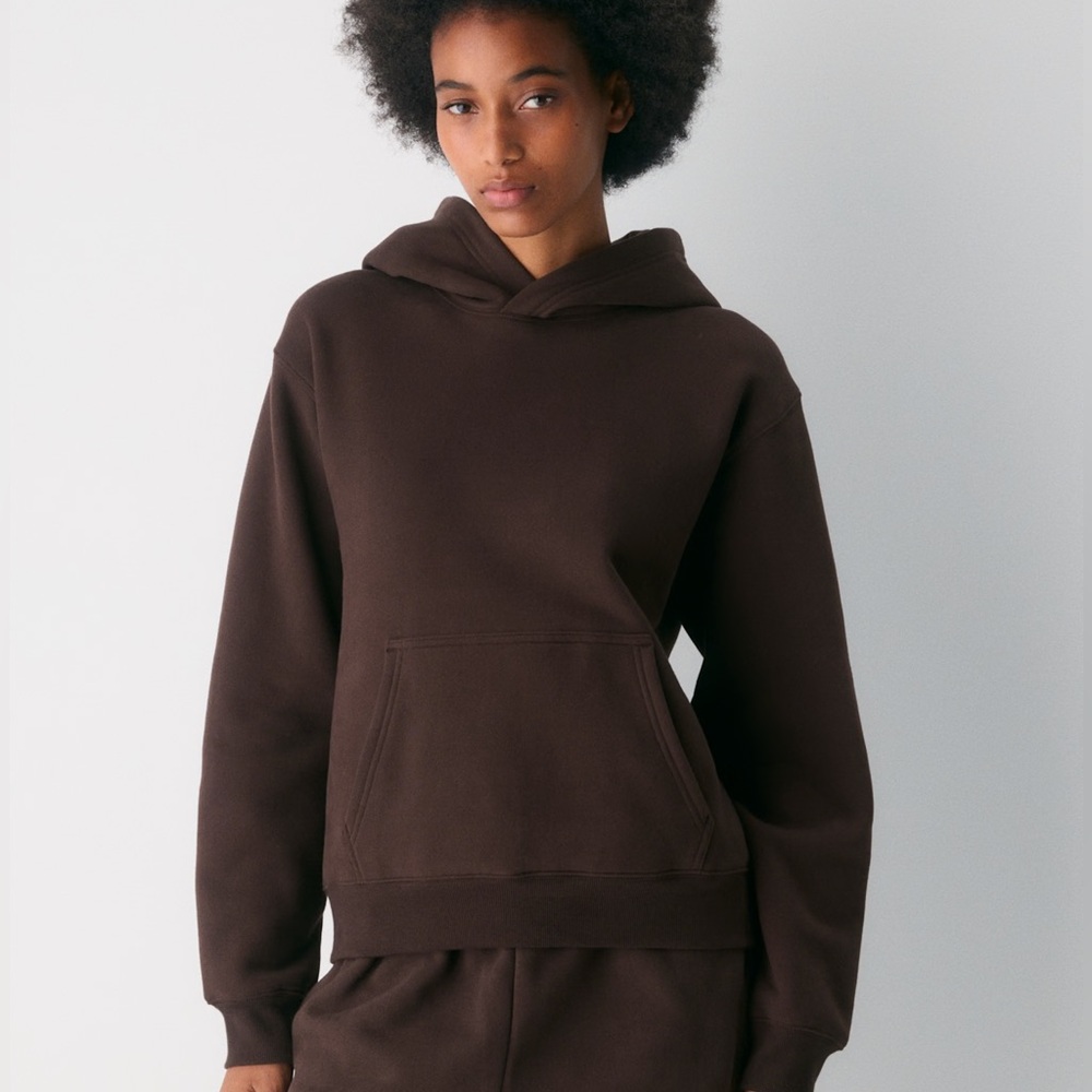 Aritzia Cozy Sweatfleece Perfect Hoodie (rich mocha brown)